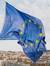 Wapperende Europese vlag als symbool voor Nictiz Internationaal